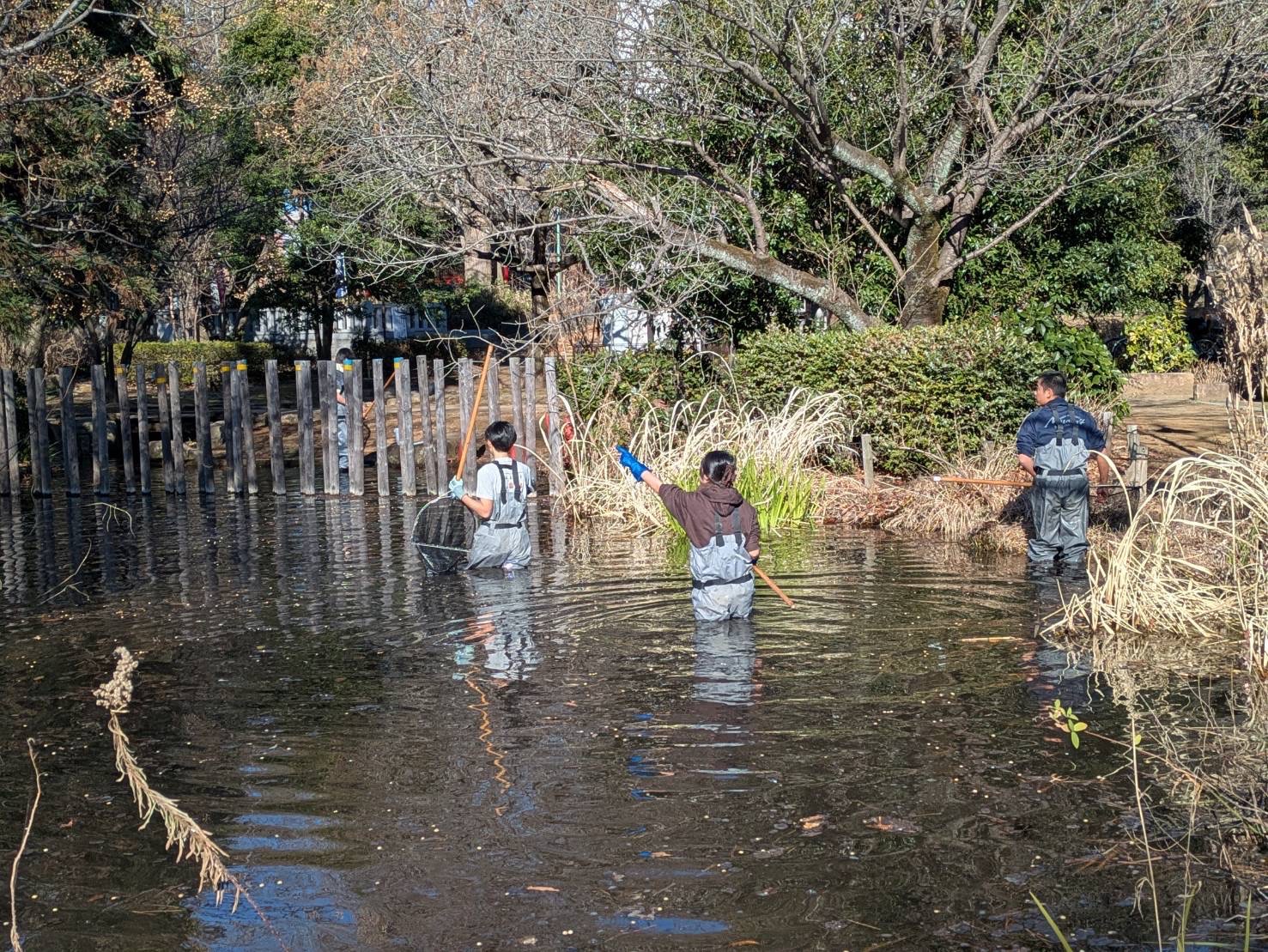 画像 -20260126-140527-69849d38